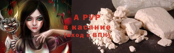 спайс Баксан