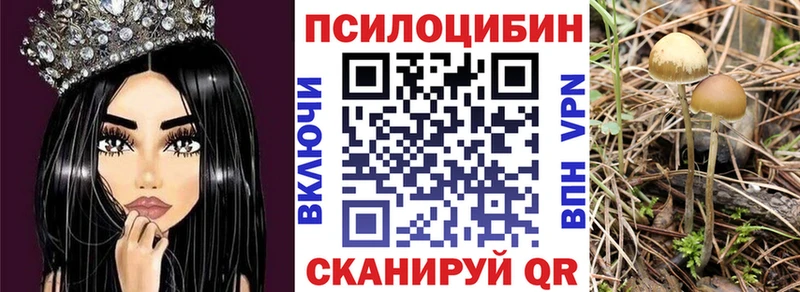 Галлюциногенные грибы Cubensis  Холм 
